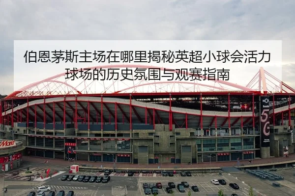 bo-en-mao-si-zhu-chang-zai-na-li-jie-mi-ying-chao-xiao-qiu-hui-huo-li-qiu-chang-de-li-shi-fen-wei-yu-guan-sai-zhi-nan-2-871.jpg